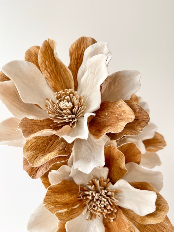 Magnolia Dried Flower