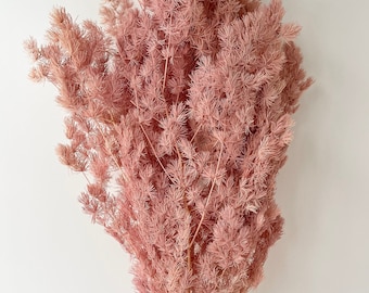 Preserved Ming Ferns - Dusty Pink - Small & Large Size Cut - | Dried Flower Floral Design | Natural Arrangment | DIY Wedding Bouquet