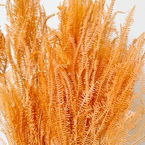 May include: A bunch of dried ferns in a light brown color. The ferns are arranged in a vase and are a popular choice for home decor.