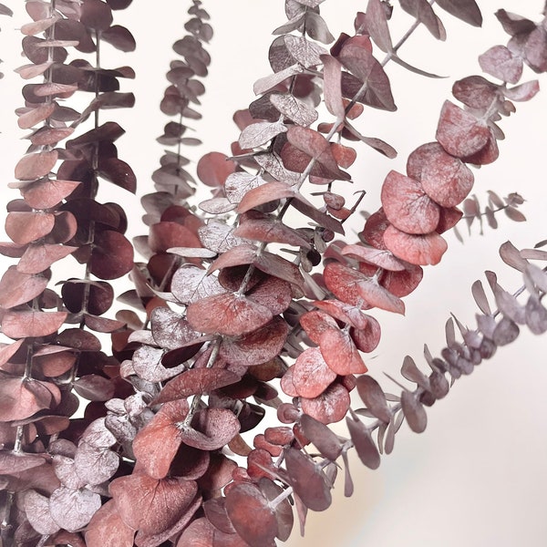 Preserved Dried Native Eucalyptus RED GUM Leave Branch Cut | Dried Floral Design | Natural Arrangment | Dried Flowers Wedding Bouquet