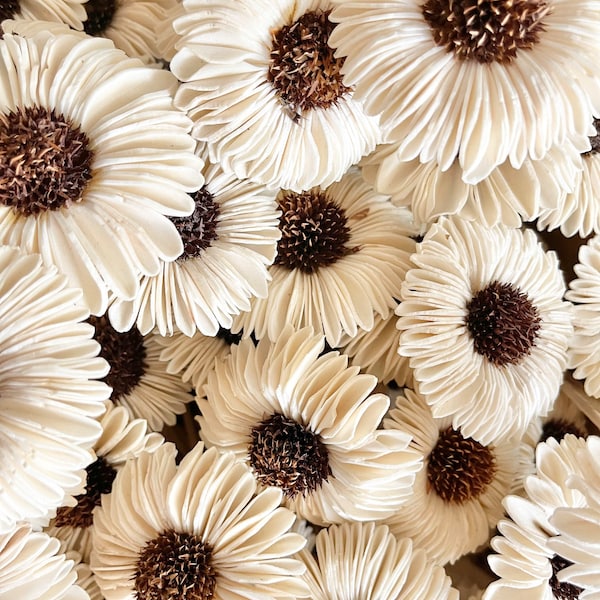 High Quality - HANDMADE SOLA Wood Flower - 3-in-1 Coneflower Daisy Blooms - White | Diffuser Reeds | Natural Dried Floral Design