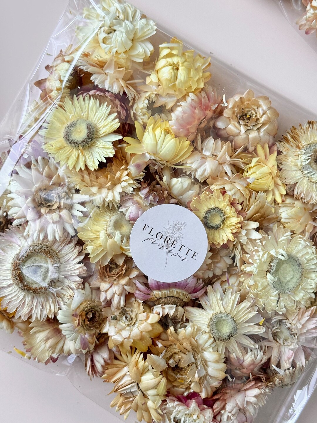 Bag of Preserved Dried Native Paper Daisies Bloom Heads | Pink Lemonade ...