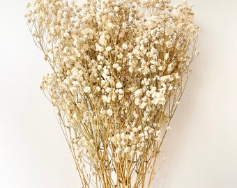 Preserved Natural BABY BREATHS Gypsophila Flower Stems | Dried Flowers | DIY Wedding Bouquet Boho Decor Crafts Arrangement Hamper Floral