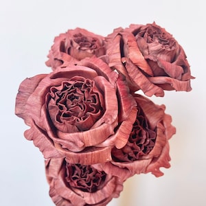 Könnte beinhalten: Ein Strauß aus sechs getrockneten Rosen in einem tiefen Burgunderrot. Die Rosen sind in einer Traube angeordnet, wobei sich die Blütenblätter überlappen und ein volles, üppiges Aussehen erzeugen.