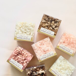 May include: Assortment of dried hydrangeas in clear square boxes with gold labels. The labels read "preserved hydrangeas". The hydrangeas are in various colours, including white, cream, pink, and brown.