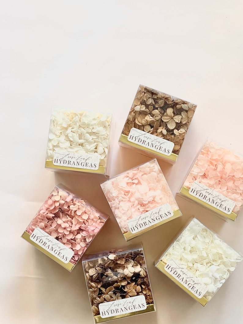 May include: Assortment of dried hydrangeas in clear square boxes with gold labels. The labels read "preserved hydrangeas". The hydrangeas are in various colours, including white, cream, pink, and brown.