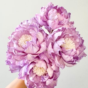 Könnte beinhalten: Ein Strauß aus fünf zarten, papierartigen, lila Lotusblumen. Die Blüten sind in einer Gruppe angeordnet, wobei sich die Blütenblätter überlappen und einen weichen, romantischen Look erzeugen.