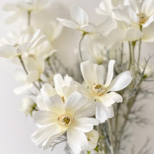 Fiori di margherite selvatiche Cosmo finti in seta / Composizione floreale con fiori artificiali secchi / Bouquet da sposa con fiori secchi fai da te