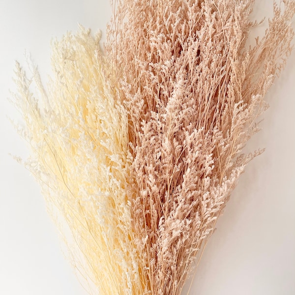Preserved Dried MISTY LIMONIUM Caspia Plant | White Cream / Blush Beige | Dried Flowers | DIY Wedding Bouquet Boho Decor Crafts Arrangement