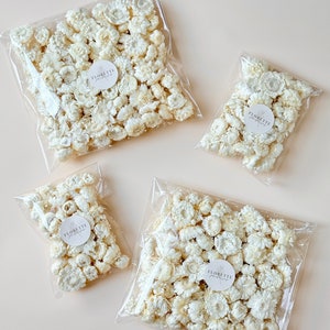 Sacchetto di teste di bottoni di margherite di carta native essiccate conservate / Velluto bianco / Disposizione naturale / Bouquet da sposa di fiori fai da te / Decorazioni per la casa