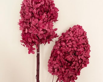 Édition Saint-Valentin - hortensias stabilisés paniculata | Magenta magique | Conception florale | Composition naturelle | Bouquet de fleurs à faire soi-même