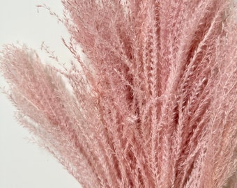 Preserved Dusty Pink Feather Pampas Ferns | Dried Flower Floral Design | Natural Arrangment | DIY Dried Flowers Wedding Bouquet