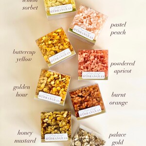 May include: An assortment of dried hydrangea petals in various shades of yellow, orange, and peach. The petals are displayed in small square boxes with the label "Loose Leaf Hydrangeas" on each box. The boxes are arranged in a grid pattern on a light beige surface. The colours are labelled with names like "lemon sorbet", "buttercup yellow", "golden hour", "honey mustard", "pastel peach", "powdered apricot", "burnt orange", and "palace gold".