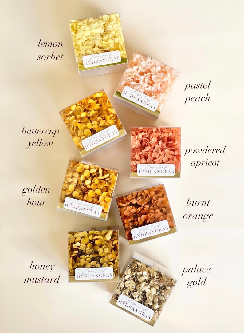 May include: An assortment of dried hydrangea petals in various shades of yellow, orange, and peach. The petals are displayed in small square boxes with the label "Loose Leaf Hydrangeas" on each box. The boxes are arranged in a grid pattern on a light beige surface. The colours are labelled with names like "lemon sorbet", "buttercup yellow", "golden hour", "honey mustard", "pastel peach", "powdered apricot", "burnt orange", and "palace gold".