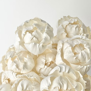 May include: A bouquet of white sola wood peonies. The flowers are arranged in a cluster, with the petals overlapping and creating a soft, delicate look.