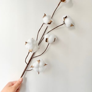 Haute qualité Balles en coton blanc à tige 6 en 1 avec têtes filaires Motif floral séché Composition naturelle Bouquet de mariage de fleurs à faire soi-même image 2