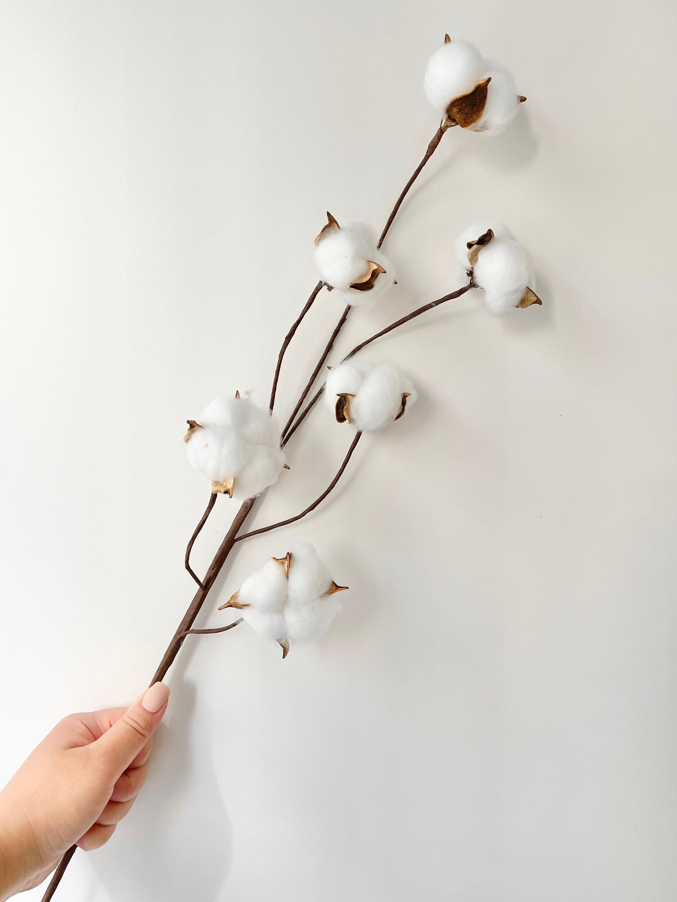 Creative Co-Op Dried Natural Rose Stem Bunch - The Workroom