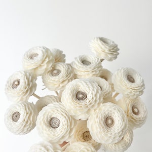 High Quality - 5-in-1 Handmade SOLA Flower White Sunflower Daisy  - Diffuser Reeds - Dried Floral Design | Natural DIY Sola Wedding Flowers