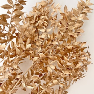 High Quality Preserved GOLD Ruscus Leaves Branch | Flower Floral Design | Natural Arrangement | DIY Dried Flowers Wedding