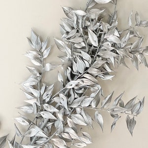 Preserved Silver Ruscus Leaves Branch  Flower Floral Design | Natural Arrangement | DIY Dried Flowers Wedding Bouquet