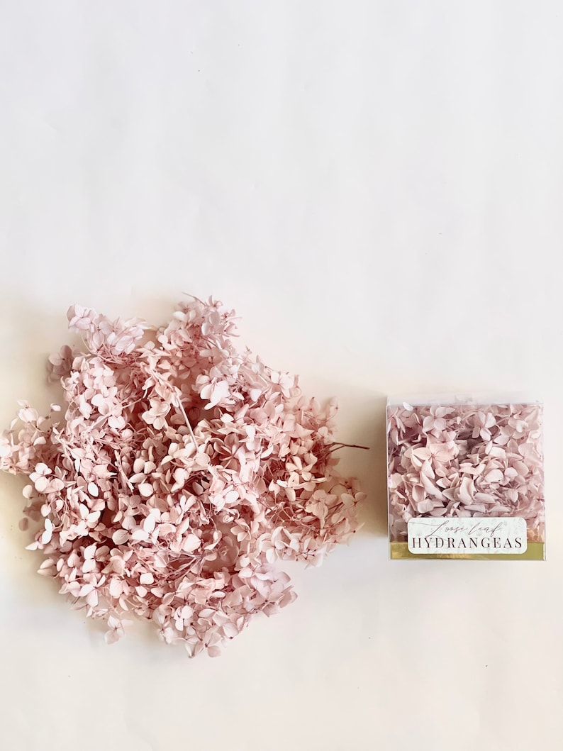 May include: A pile of dried pink hydrangeas, with a small box of dried pink hydrangeas labelled "Loose Leaf Hydrangeas".