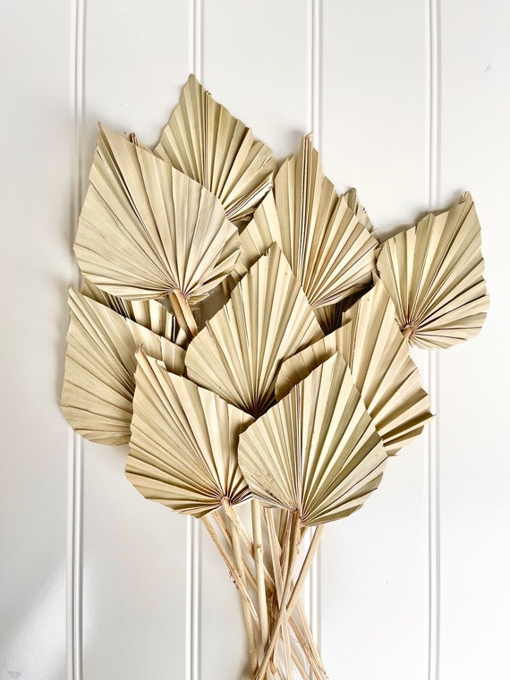 Ilustración De Rama De Palma Seca Dorada Y Brillante Hoja Brillante Y Brillante Dibujada A Mano De Gm1486021621 511872889