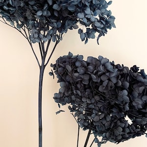Hortensias preservadas - Cabeza grande / Diseño floral con flores secas / Arreglo natural / Corona seca DIY - AZUL MEDIANOCHE
