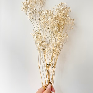 Preserved Natural BABY BREATHS Gypsophila Flower Stems Dried Flowers DIY Wedding Bouquet Boho Decor Crafts Arrangement Hamper Floral image 2