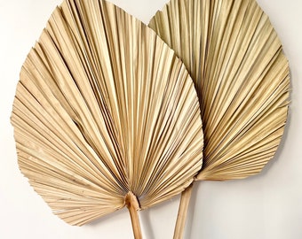 Dried Preserved LARGE Natural Palm Spear Fan | Dried Flower Floral Design | Boho Arrangement | DIY Dried Flowers Wedding Bouquet
