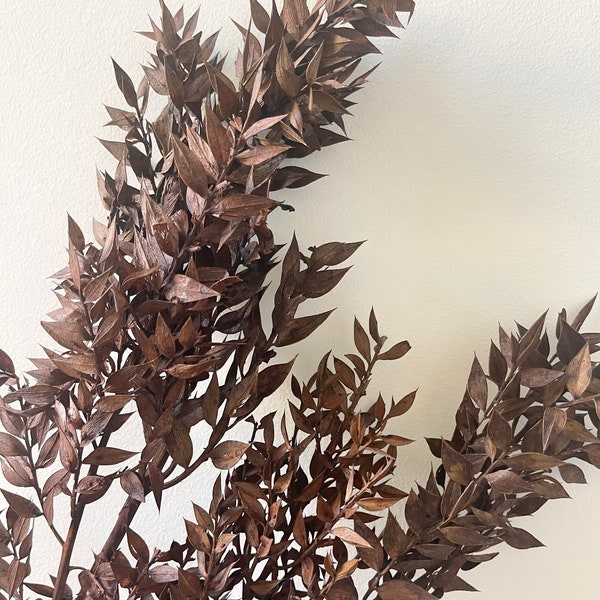 Preserved SHORT Italian RUSCUS Fucus Leaves - Dark Chocolate | Floral Design | Natural Arrangment | DIY Dried Flowers Wedding Bouquet