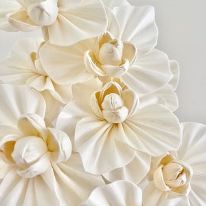 High Quality - HANDMADE SOLA Wood Flower - 3-in-1 White ORCHID Blooms - White | Diffuser Reeds | Natural Dried Floral Design