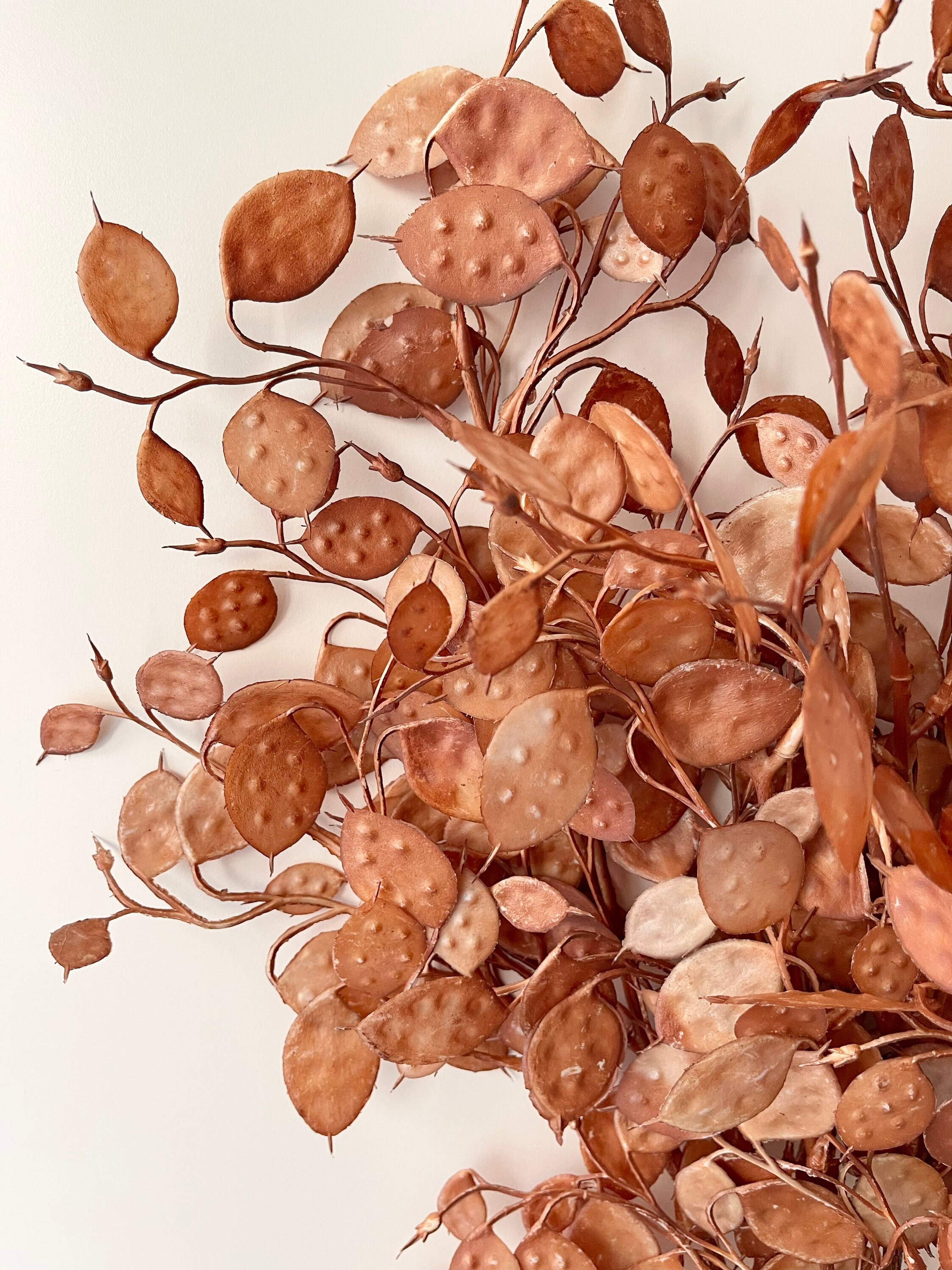 Artificial Faux PreservedLook Honesty Plant Leaves Wired Etsy