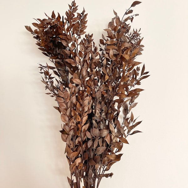 Preserved ITALIAN RUSCUS Fucus Leaves - Dark Chocolate | Floral Design | Natural Arrangment | DIY Dried Flowers Wedding Bouquet