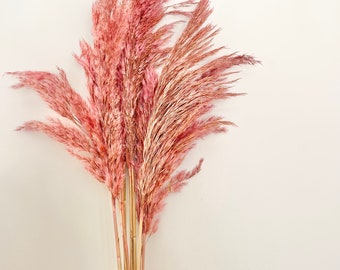 Preserved Autumn Pink Tones Large Feather Reed Ferns | Dried Flower Floral Design | Natural Arrangement | DIY Dried Flowers Wedding Bouquet