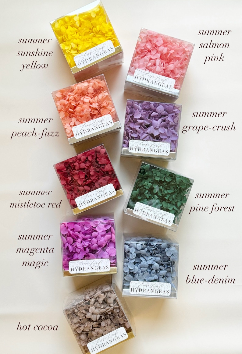 May include: Ten small square boxes filled with dried hydrangeas in various colours, including yellow, pink, peach, red, purple, green, blue, and brown. Each box has a label that reads "True Leaf Hydrangeas".
