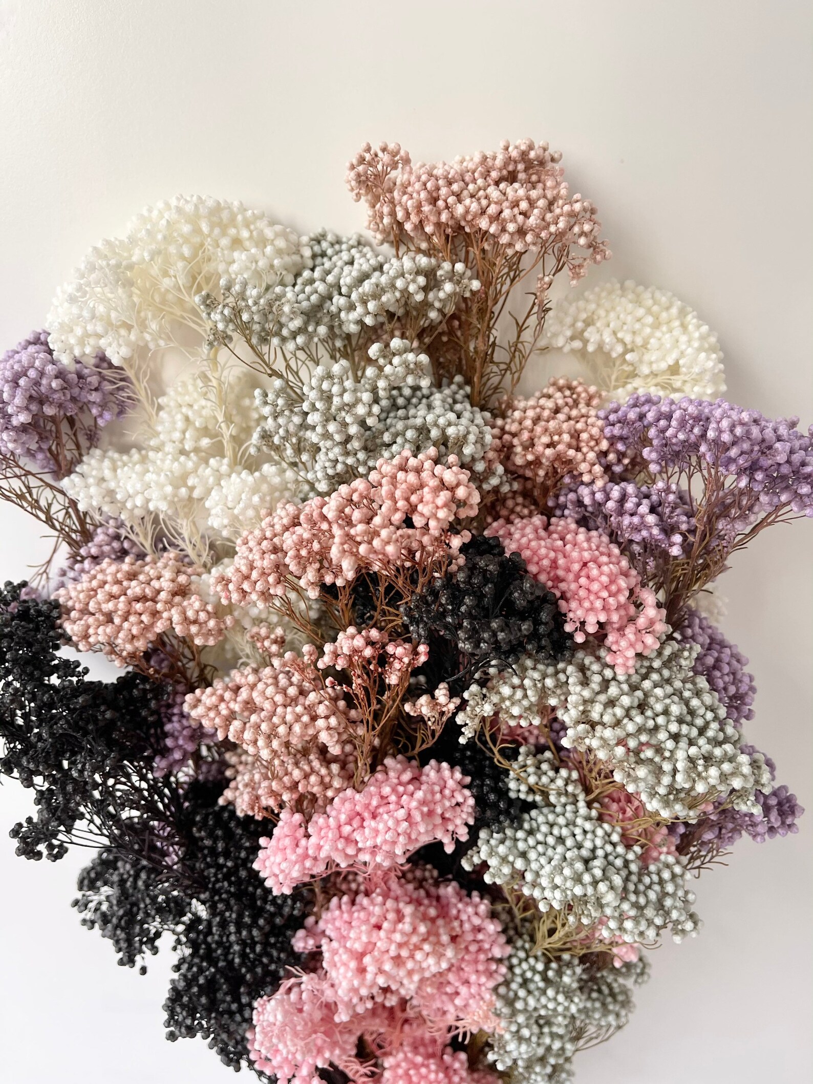 Bunch of Preserved Rice Flower Plant Dried Floral Design Etsy