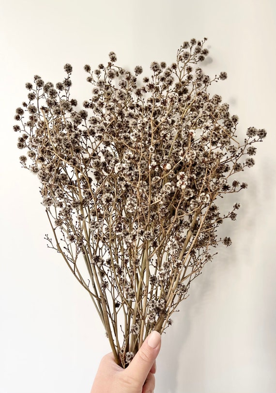 Bouquet of dried wildflowers with filter effect retro vintage