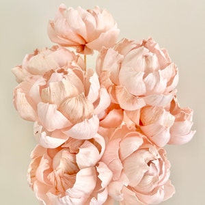 Hög kvalitet - HANDGJORD SOLA Träblomma - 3-i-1 Knappt Blush Stora Pionblommor | Diffuserrör | Blomsterdesign | Naturligt DIY Bröllop