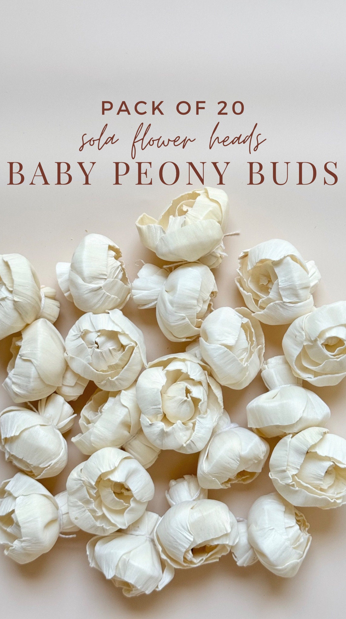 Baby peony outlet