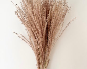 Preserved Brown Feather Pampas Ferns | Dried Flower Floral Design | Natural Arrangment | DIY Dried Flowers Wedding Bouquet