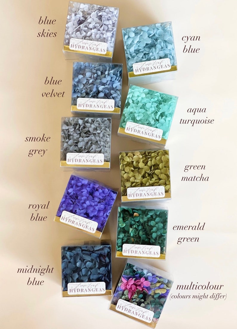 May include: Assortment of dried hydrangea flowers in various colours, including blue skies, blue velvet, smoke grey, royal blue, midnight blue, cyan blue, aqua turquoise, green matcha, emerald green, and multicolour. Each colour is displayed in a small square box with a label that reads "preserved hydrangeas".