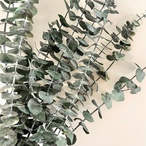 Foglie di eucalipto nativo essiccato e conservato, ramo tagliato / composizione floreale essiccata / composizione naturale / bouquet da sposa con fiori secchi