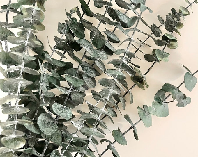 Preserved Eucalyptus, Dried Flowers, Natural Floral Arrangement, Bath ...