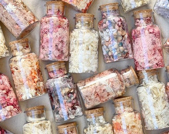 Bottle of Confetti Dried Preserved Flowers Floral | Natural Arrangement | DIY Dried Flowers - great for gifts, decor, crafts and hampers!