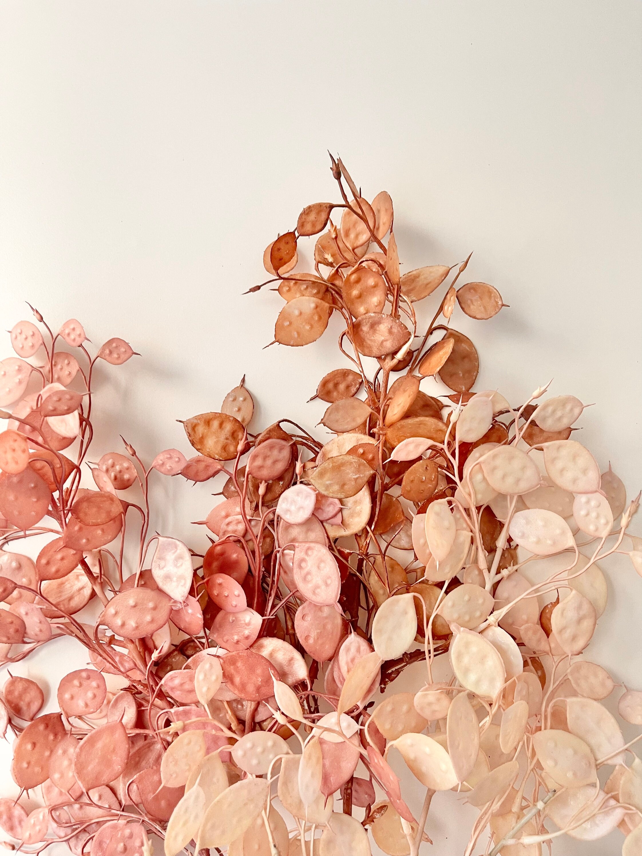 Artificial Faux PreservedLook Honesty Plant Leaves Wired Etsy