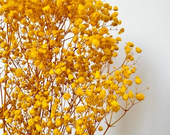 Preserved BABY BREATHS Gypsophila Flower Stems | Dried Flowers | DIY Wedding Bouquet Boho Decor Crafts Arrangement Hamper Floral - Yellow