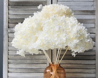 High Quality - LARGE Head - Preserved Hydrangeas in White - Off White | Dried Flowers Floral Design | Natural Arrangement | DIY Wedding