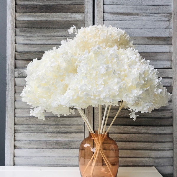 High Quality - LARGE Head - Preserved Hydrangeas in White - Off White | Dried Flowers Floral Design | Natural Arrangement | DIY Wedding