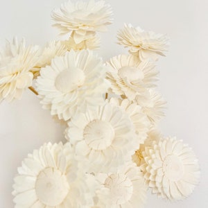 May include: A bunch of white sola wood flowers. The flowers are arranged in a bouquet and have a delicate, layered appearance.