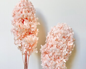 High Quality - Paniculata Preserved Hydrangeas | Blush Peach | Floral Design | Natural Arrangement | DIY Flowers  Bouquet